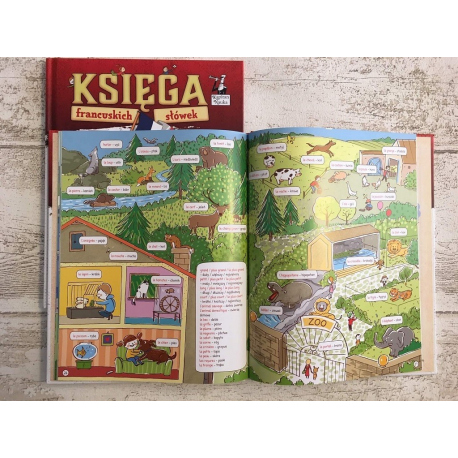 Księga francuskich słówek (7+)