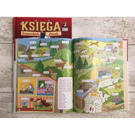 Księga francuskich słówek (7+)