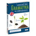 Angielski. Gramatyka w obrazkach (A1-B1) - gramatyka angielska dla wzrokowców