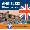 Angielski. Słówka i zwroty dla zaawansowanych 3 (do pobrania)