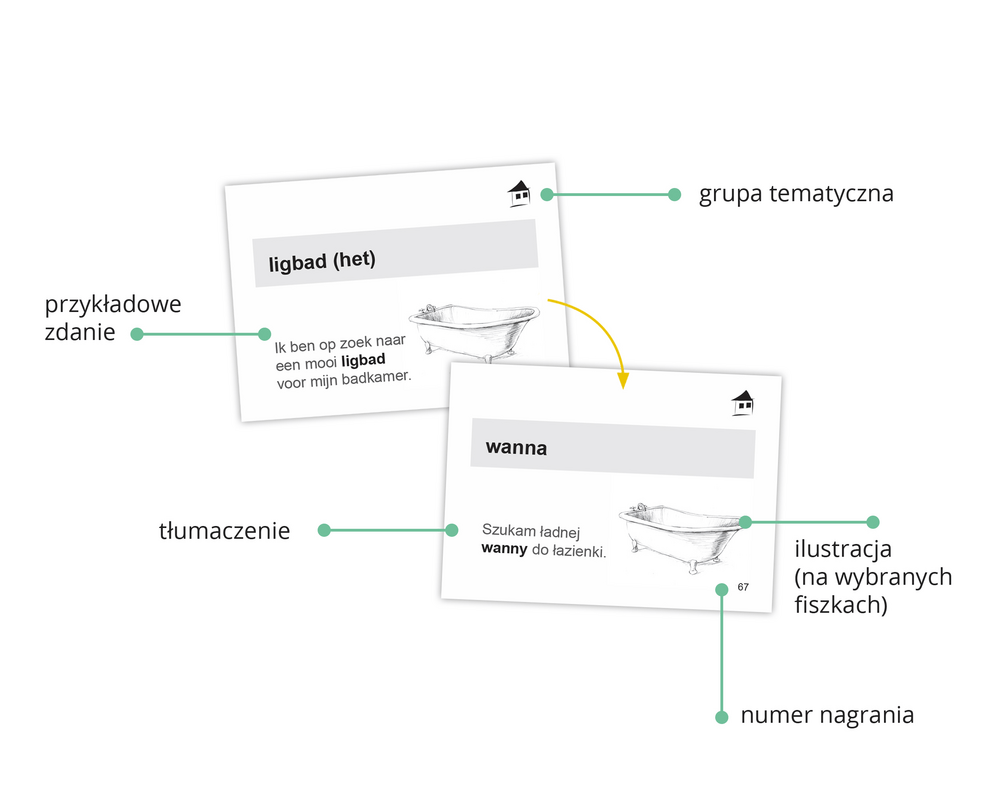 Fiszki PLUS do nauki języka niderlandzkiego