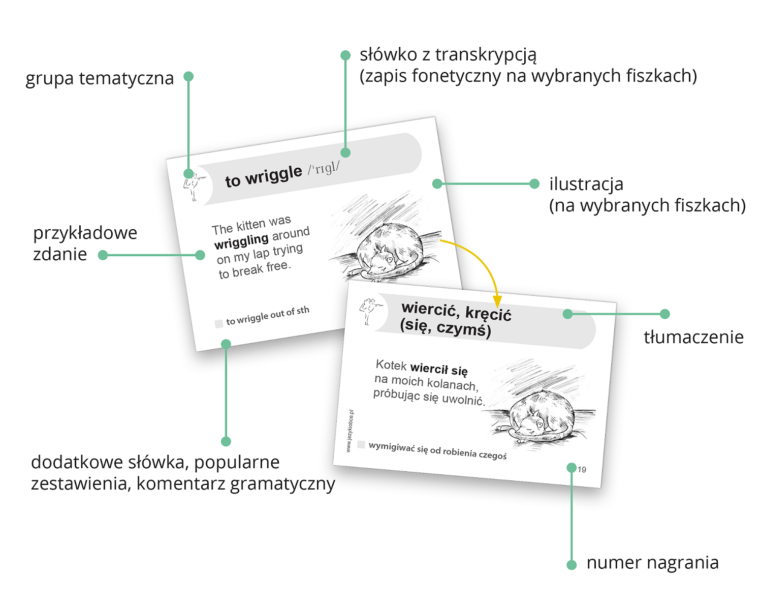 Angielski. Fiszki PLUS dla zaawansowanych