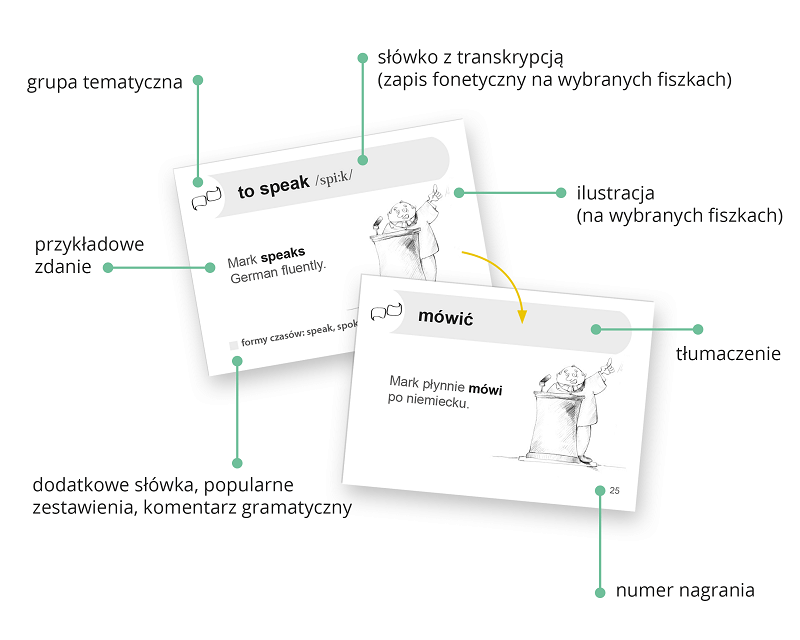 Fiszki drukowane; skuteczny system nauki;  nauka słownictwa