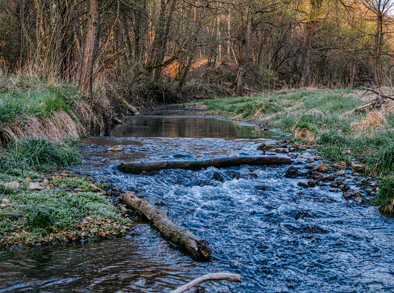 Rzeka lub strumyk, w której można zanurzyć marzannę