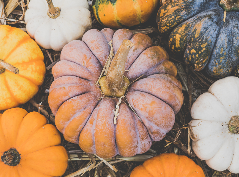 Dynie - jesienne zabawy matematyczne Kapitan Nauka