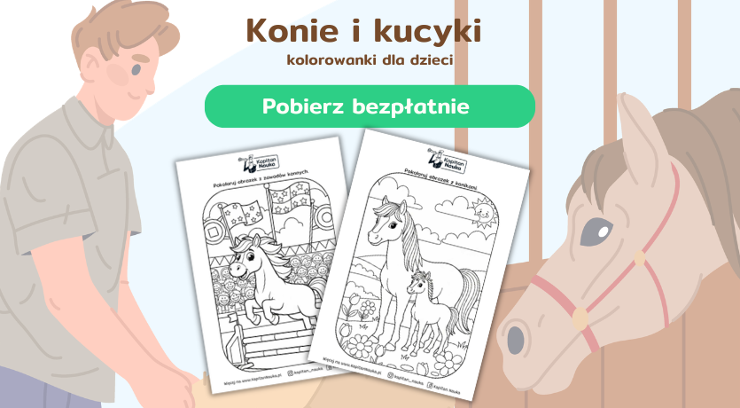 Kolorowanka z końmi i kucykami do wydrukowania