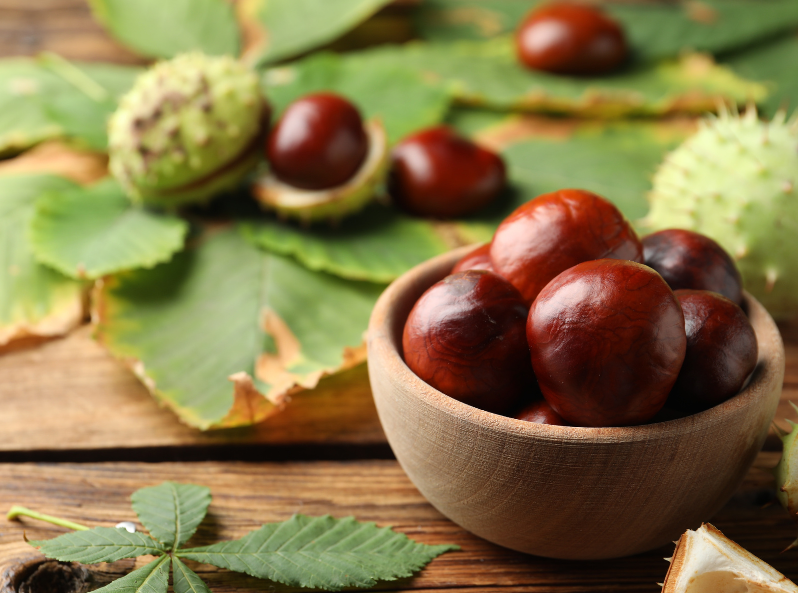 Kasztany, liście. Jesienne zabawy. Kapitan Nauka