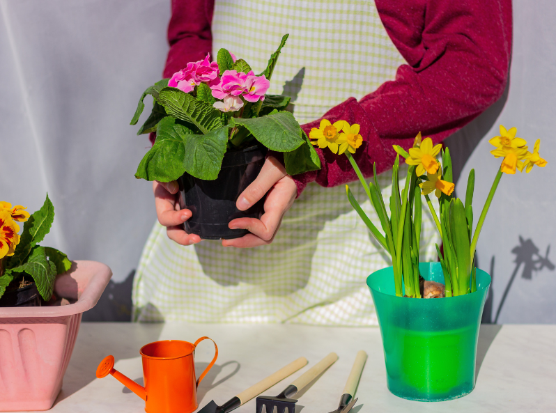 dziecko sadzi kwiaty na parapecie