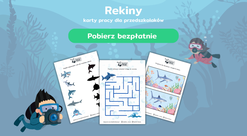 Karty pracy z rekinami do pobrania Kapitan Nauka
