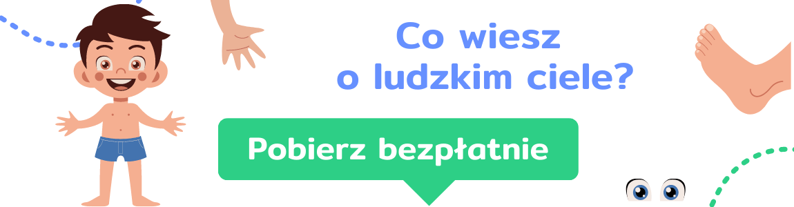 Sprawdź swoją wiedzę o ludzkim organizmie - pobierz darmowe materiały! KapitanNauka.pl