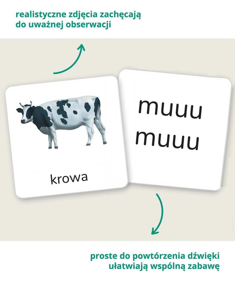 Montessori. Karty obrazkowe Dźwięki (1-3 lata). Kapitan Nauka - środek