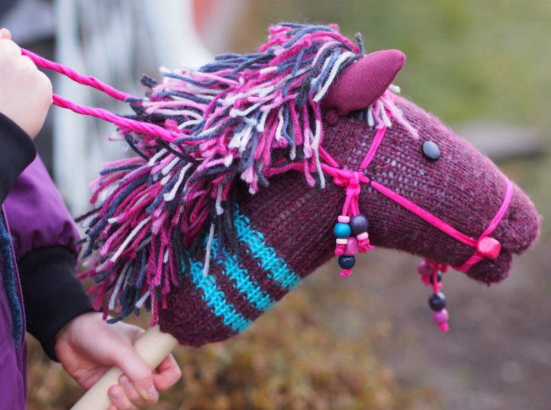 Jak zacząć przygodę z hobby horse?