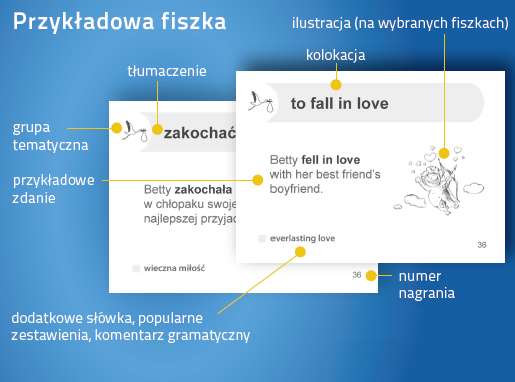 Angielski Fiszki PLUS Kolokacje - kurs angielskiego