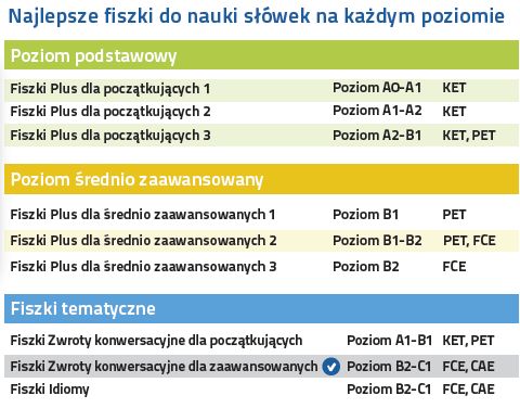 Angielski Fiszki PLUS Zwroty konwersacyjne dla zaawansowanych - nauka słówek na każdym poziomie zaawansowania