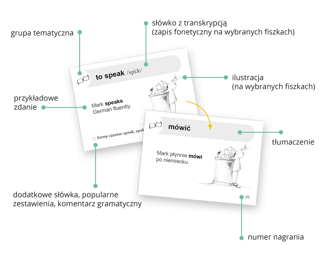 Fiszki PLUS - Ucz się słów i przykładowych zdań