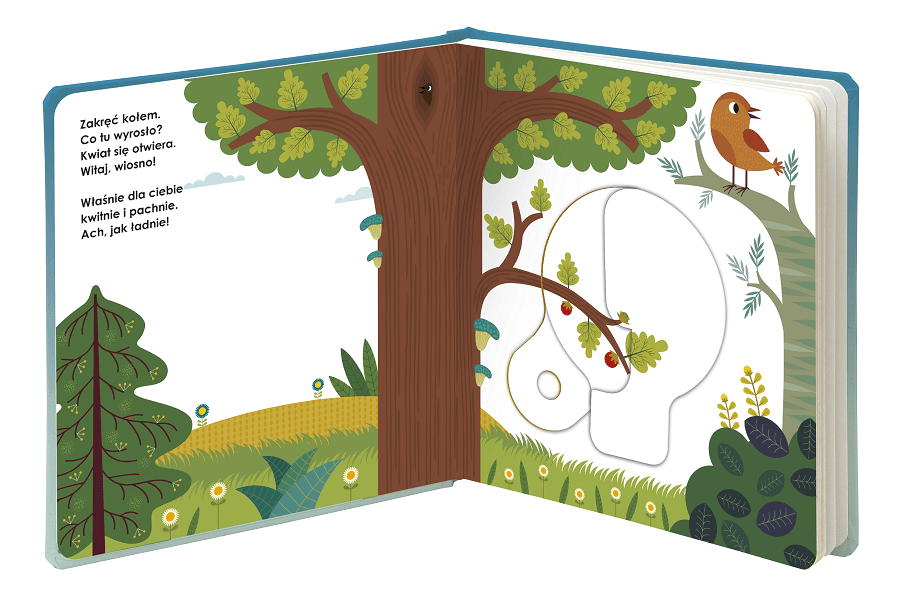 Niespodzianka! Magiczne koło - książeczka, dzięki której dzieci dowiedzą się, jak fascynujący jest świat!
