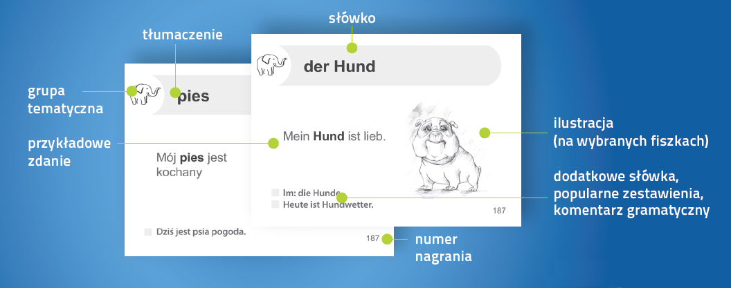 Niemiecki Fiszki PLUS dla początkujących 3 - nauka niemieckiego