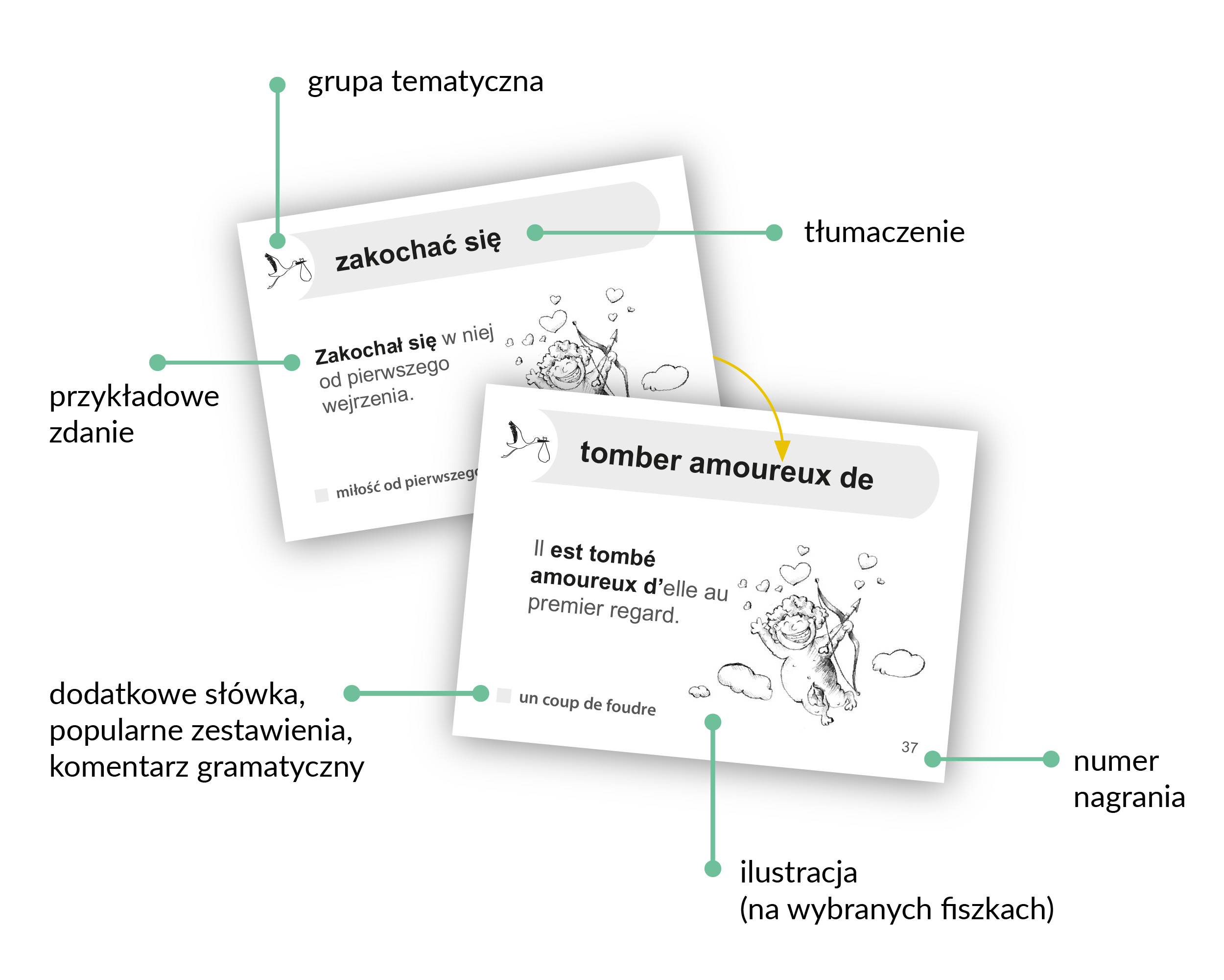 WIZUALIZACJA_francuski_fiszki_PLUS_dla_poczatkujacych_2.jpg